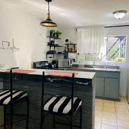 Zebra Studio Tijuana Eksteriør bilde