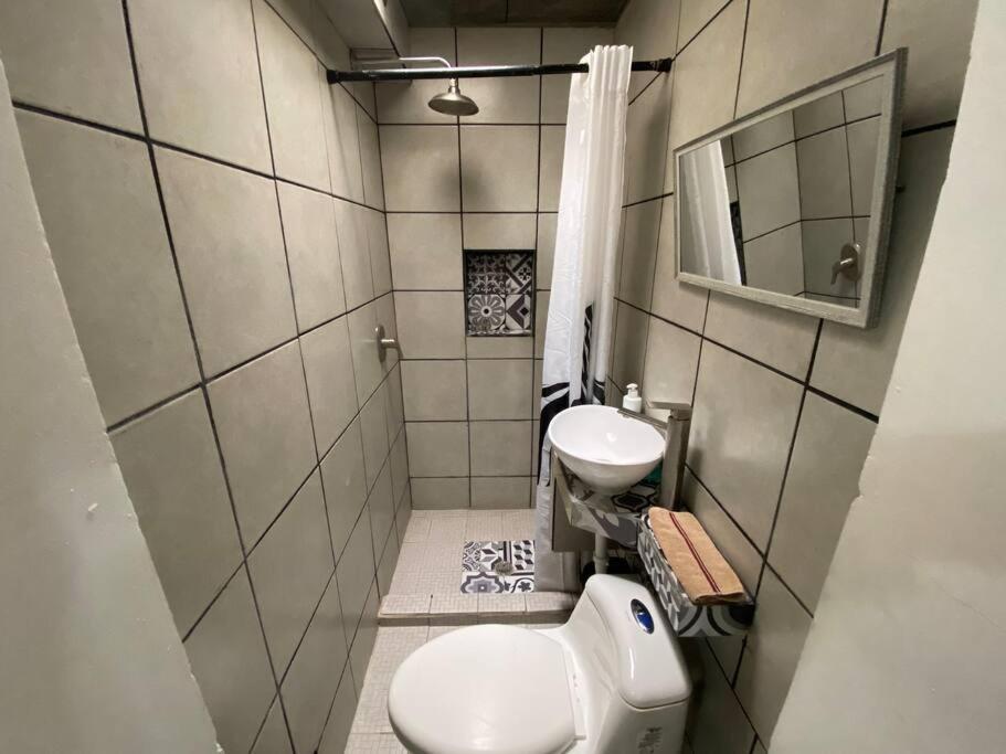 Zebra Studio Tijuana Eksteriør bilde
