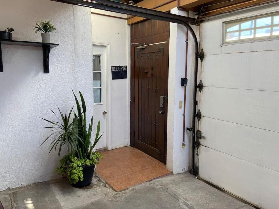 Zebra Studio Tijuana Eksteriør bilde